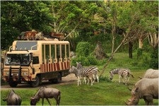 Bali Safari Marine Park, Destinasi Wisata Keluarga Terbaik 