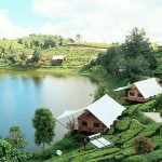 Glamping Lakeside Rancabali, Destinasi Wisata dengan Panorama Alam yang Indah