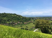 Fenomena Alam di Bukit Belong dengan Hamparan Sawah yang Luas