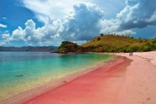 Dibalik Keunikan dan Keindahan Pantai Pink Lombok