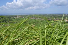 Natural Phenomenon in Hill Belong with a Vast Expanse of Rice Fields