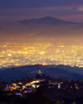 Keindahan Hamparan Pohon Pinus Di Bukit Bintang Bandung