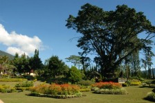 Keindahan Alam Kebun Raya Bedugul di Bali