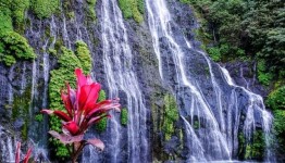 Destinasi Air Terjun Banyumala di Buleleng,Bali