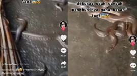 Tidak Dibersihkan, Lama Kelamaan ada yang Bikin Ngeri di Kolam Lele Ini   