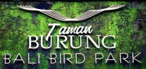 Bali Bird Park, Tempat Wisata Ramah Keluarga