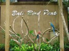 Melihat Atraksi Burung di Bali Bird Park