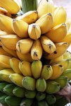 Manfaat Pisang yang Baik untuk Kesehatan Tubuh