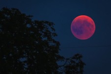 Tata Cara Shalat Gerhana Bulan