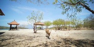 Keindahan Taman Nasional Bali Barat yang Mempesona