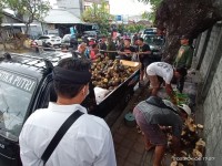 21 Pedagang yang Berjualan Atas Trotoar di Tertibkan Oleh Satpol PP dan Kelurahan Sesetan