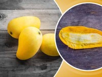 Biji Mangga Dapat membantu Menurunkan Berat Badan? Ini Dia Penjelasannya