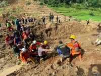 Longsor yang Berdampak Kelahan Persawahan