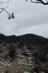 Kisah Nyata Teror Pendaki Gunung Ciremai, Nyi Linggi: Kalian Semua Harus Mati!