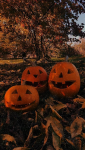 Mengenal Sejarah Hallowen yang Selalu Dirayakan Setiap 31 Oktober