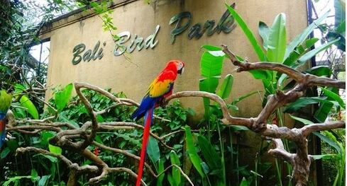 Taman Burung Bali, fasilitas, Harga Tiket dan Lokasinya