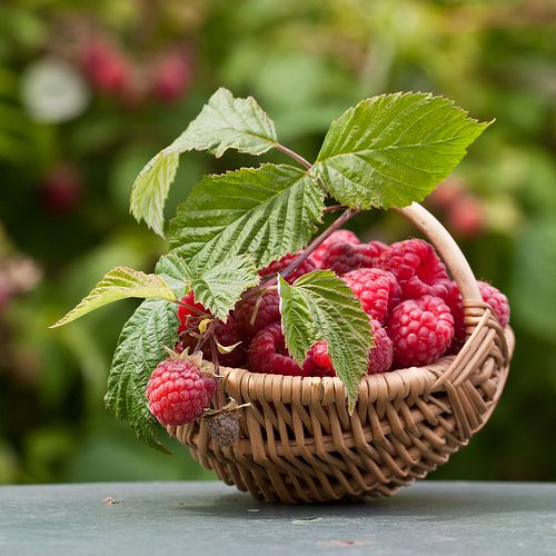 Perawatan Wajah Menggunakan Buah Raspberry, Cara Alami untuk Kulit Sehat